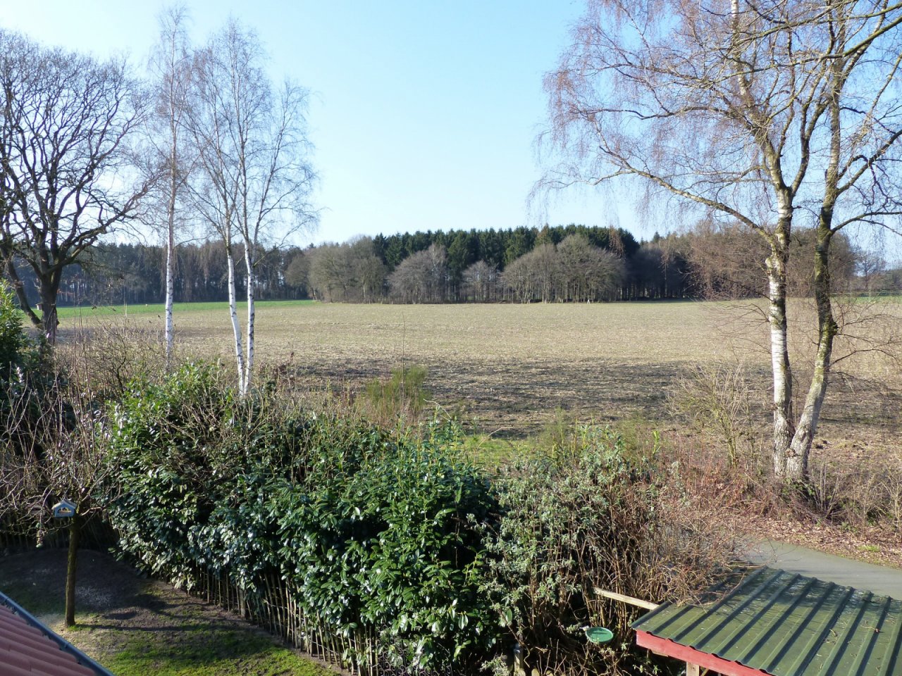Ausblick Ausblick